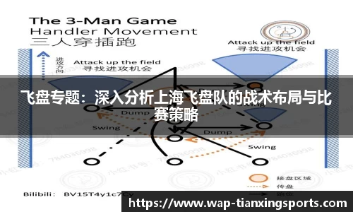 飞盘专题：深入分析上海飞盘队的战术布局与比赛策略